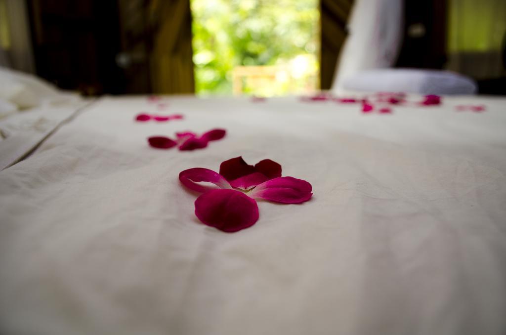 Tayrona Paradise Villa Zaino Kültér fotó