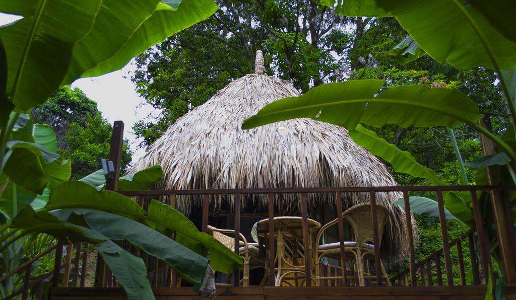 Tayrona Paradise Villa Zaino Kültér fotó