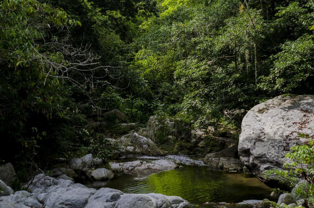 Tayrona Paradise Villa Zaino Kültér fotó