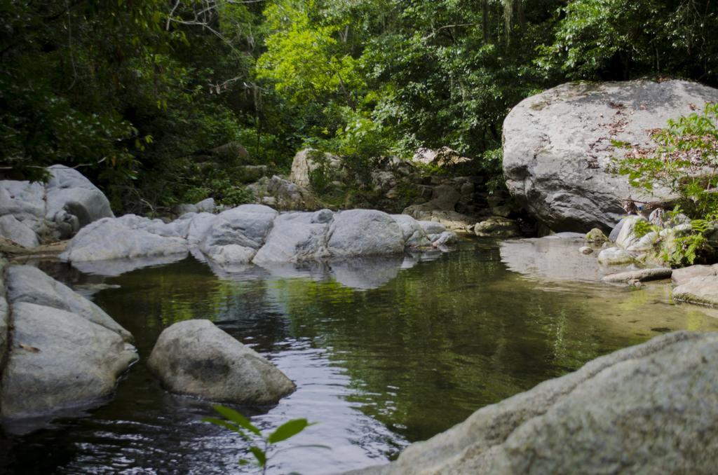 Tayrona Paradise Villa Zaino Kültér fotó