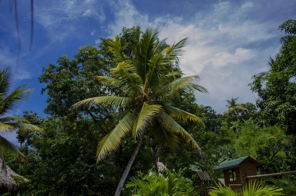 Tayrona Paradise Villa Zaino Kültér fotó